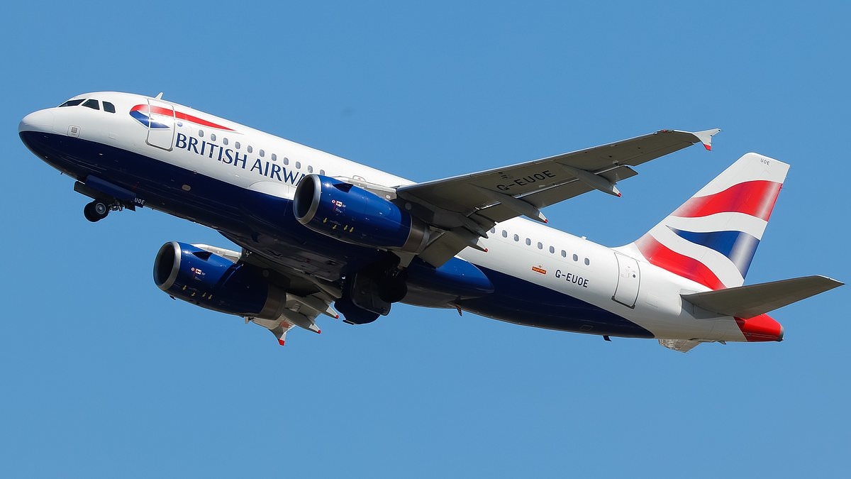 British Airways pilot 'is suspended after breaking anti-terror rules for his family'