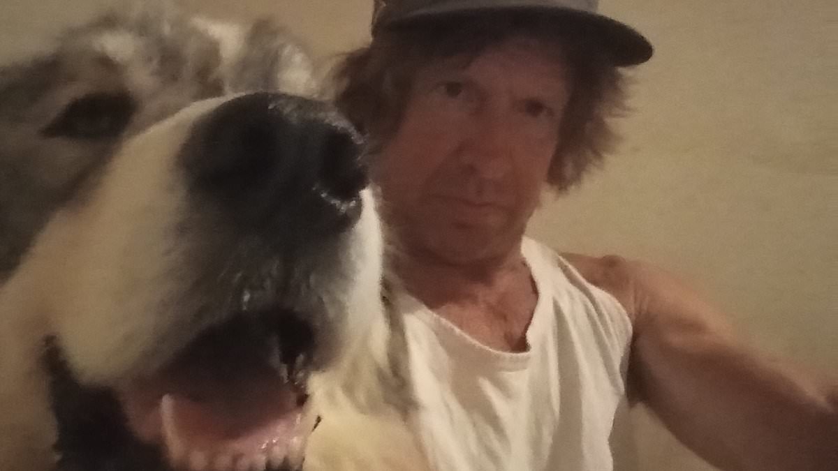 Arrest made after teen girl mauled by pack of ten or more dogs while jogging in California