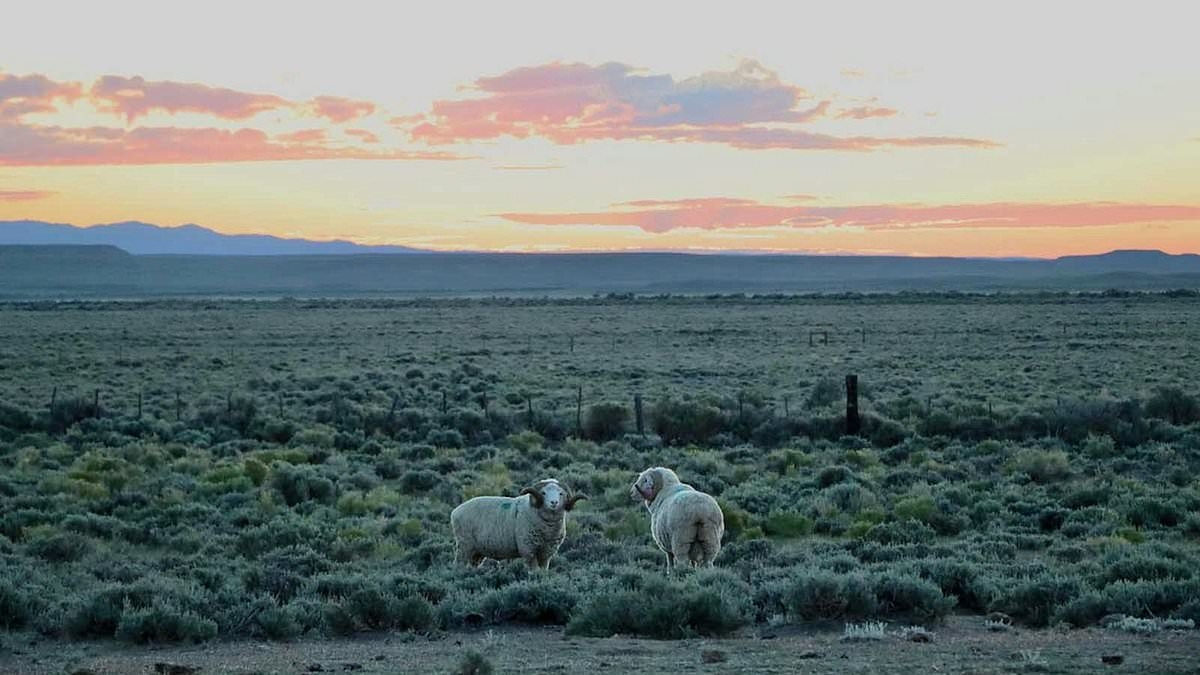 The Wyoming ranch bigger than NYC that's up for sale for $22 million