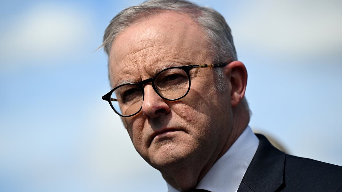 Albanese clashes with Trump ambassador over Palestine decision