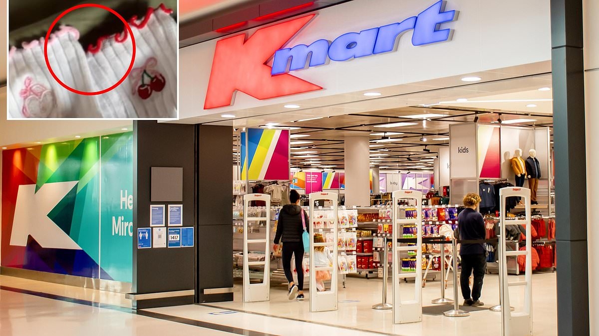 Kmart shoppers go wild over $2.70 'perfect dupe' of popular $18 item: 'OMG I need it'