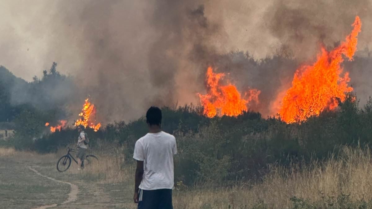 Scientists warn a new weather phenomenon dubbed the 'FIREWAVE' will devastate UK cities as summers become hotter and drier