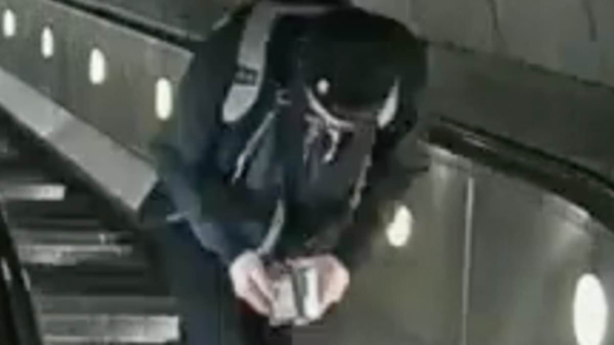 Moment thief who robbed deaf woman passenger in her 80s on Tube escalator thumbs through her wallet for money as he makes his escape
