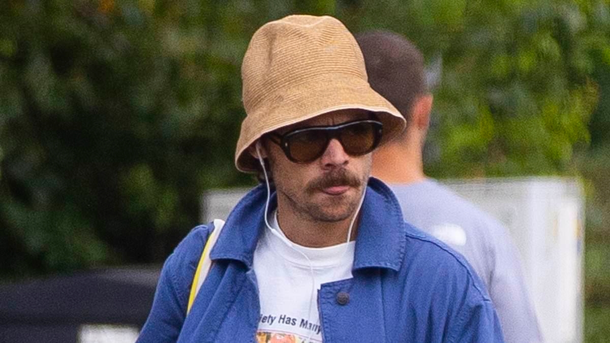 Harry Styles wears an anxiety t-shirt advertising Xanax as he enjoys a low-key stroll through London's Hampstead Heath