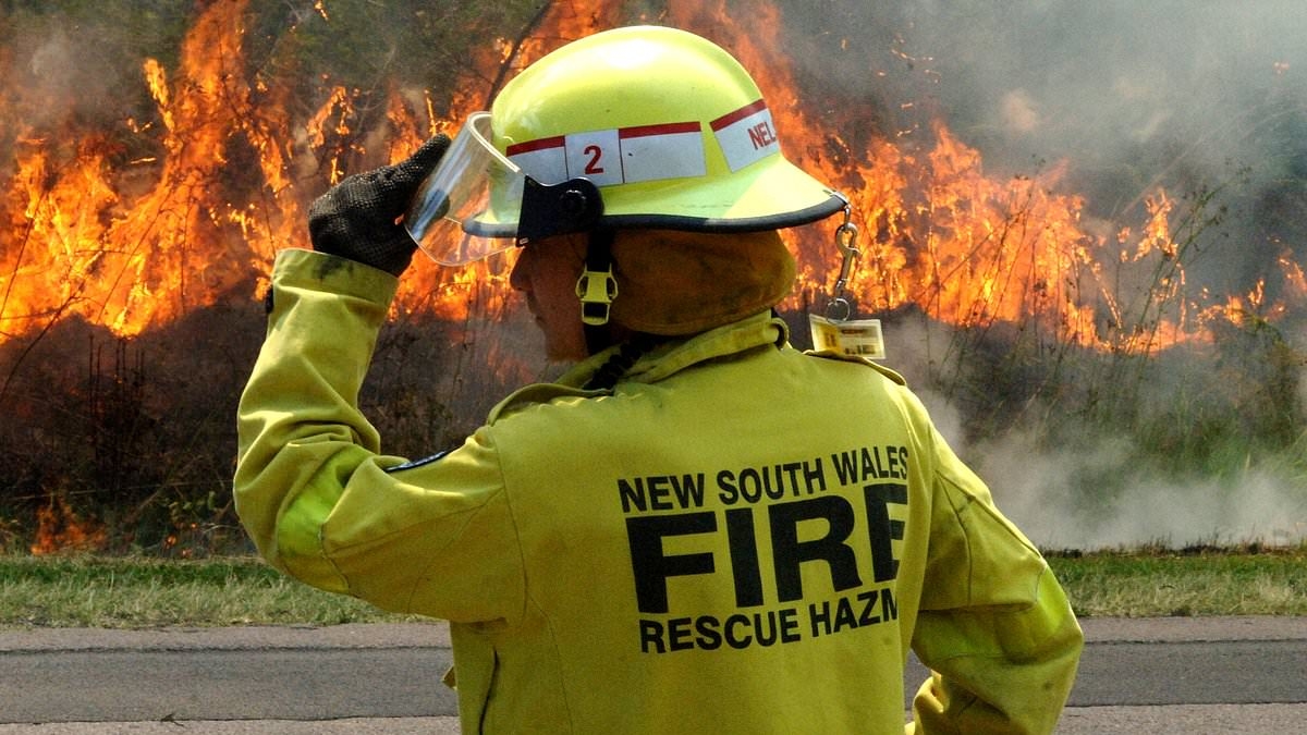 The bumper pay rise given to 'undervalued' NSW firefighters is revealed