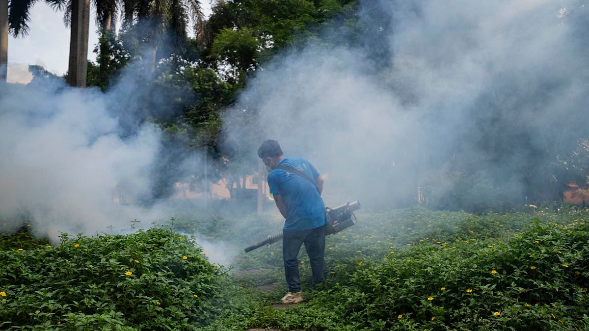 US records more cases of Chikungunya virus