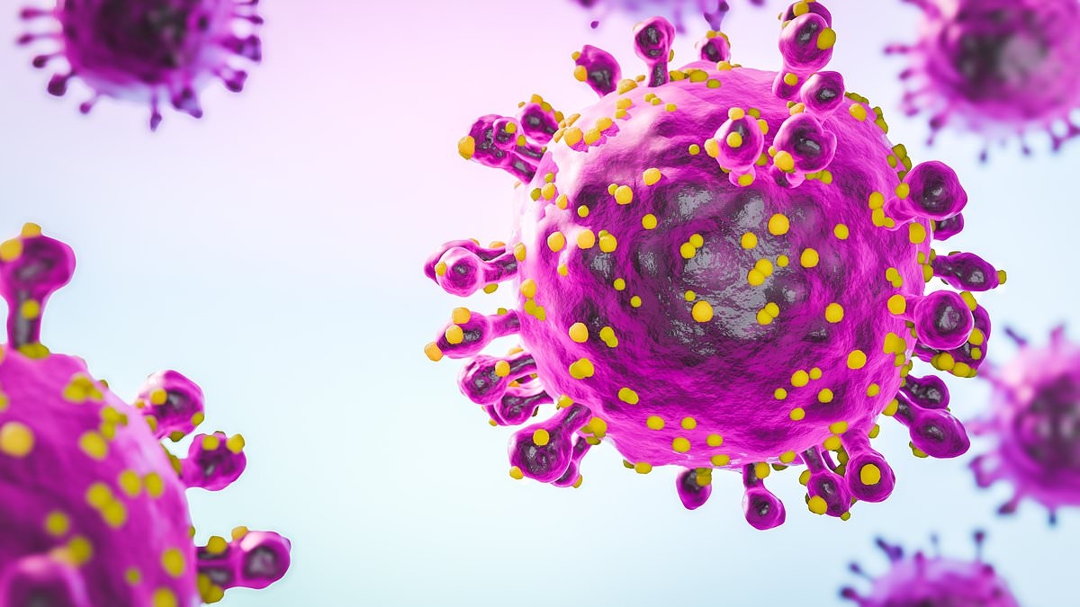 Alert issued by health chiefs after oropouche virus is detected in three Britons, these are the warning signs of 'sloth fever'