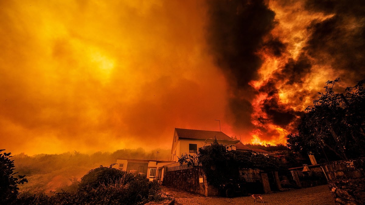Wildfires sweep Portugal, Spain and Greece