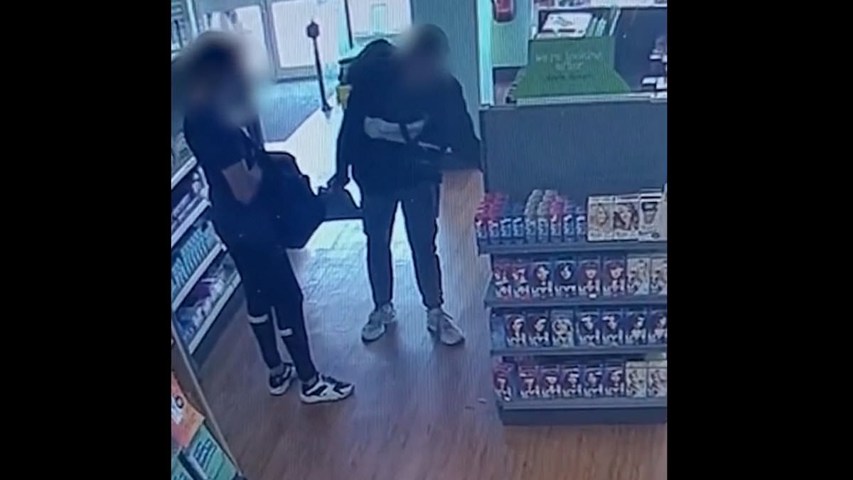Shoplifting should be known as 'shop theft' to avoid trivialising the crime, ministers agree as offending soars by a fifth in one year