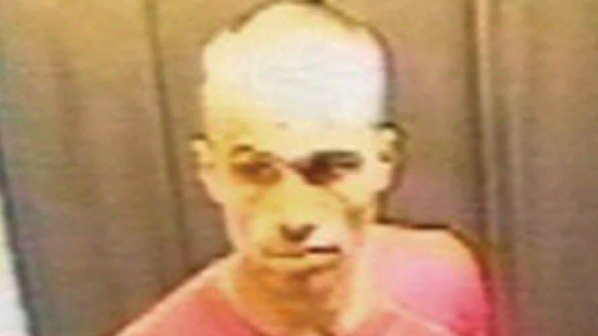 Spy in the Bag mystery: Expert claims he was asked to 'cover up' MI6 spook's death and reveals SIX glaring red flags that show he was murdered