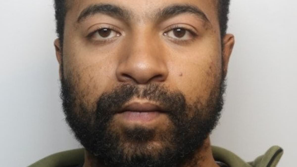 Moment driver in stolen car crashes into armed police van during 100mph police chase
