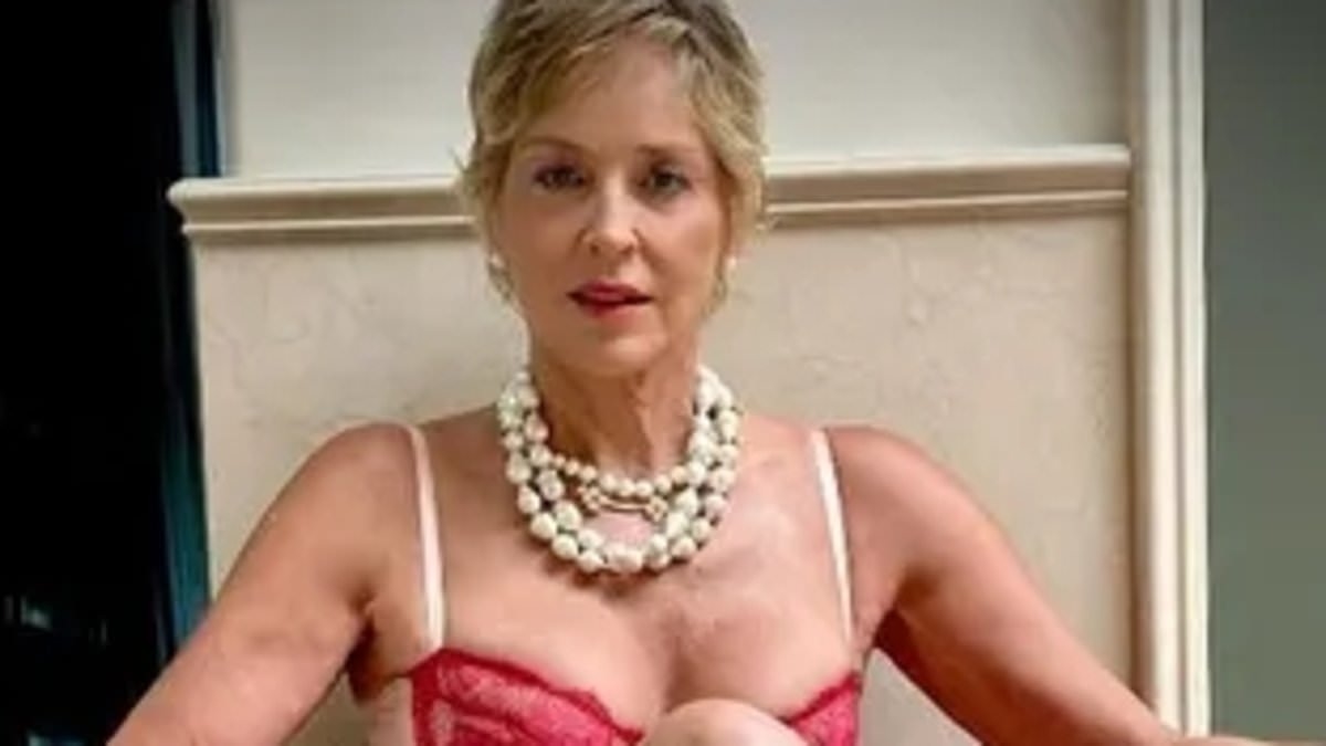 Sharon Stone, 67, is wearing sexy lingerie again now that her 3 sons have moved out of her Beverly Hills mansion