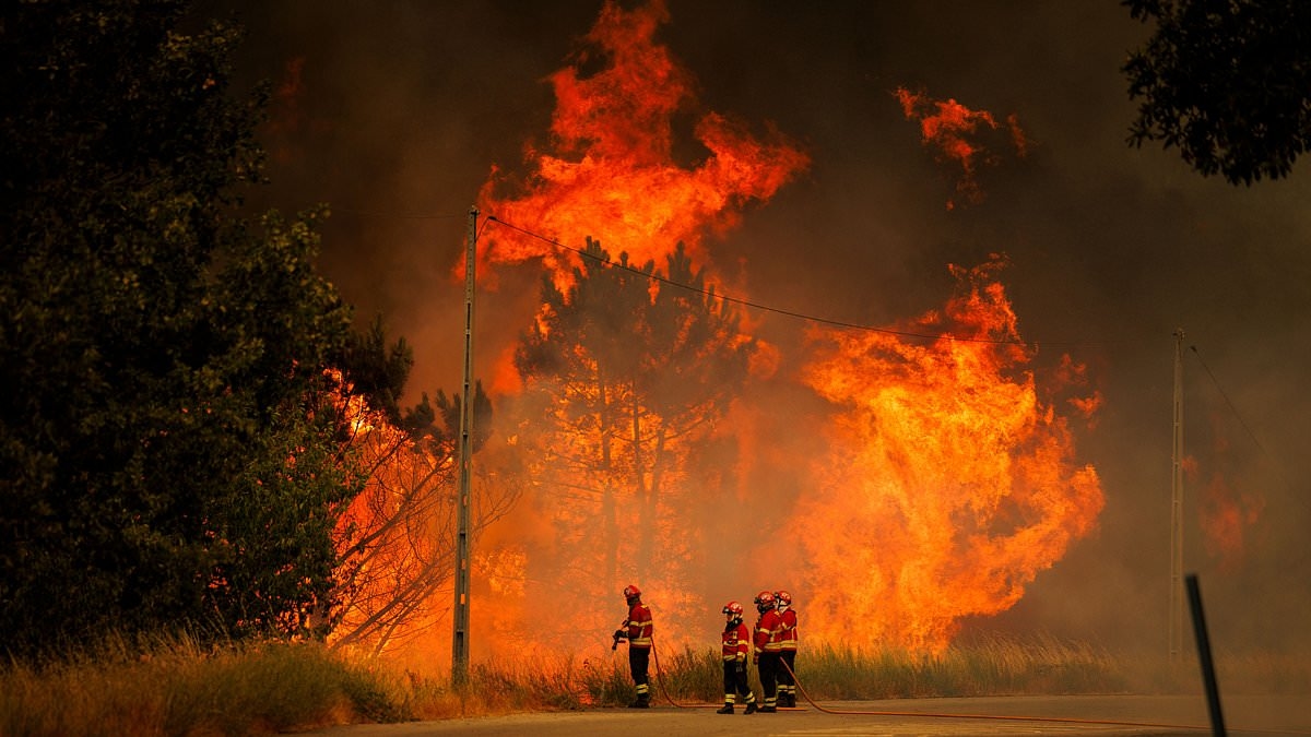 Former mayor is killed trying to defend Portuguese town from wildfire inferno - as apocalyptic blazes rip through Europe, ravaging Spain and Greece turning them into a burning hellscape