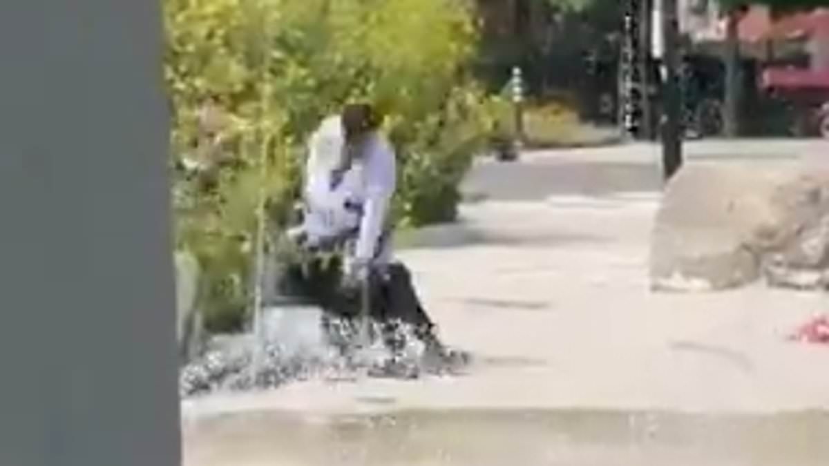 Canadian court suggests HOT WEATHER was to blame for vicious assault of Jewish father enjoying park with his children