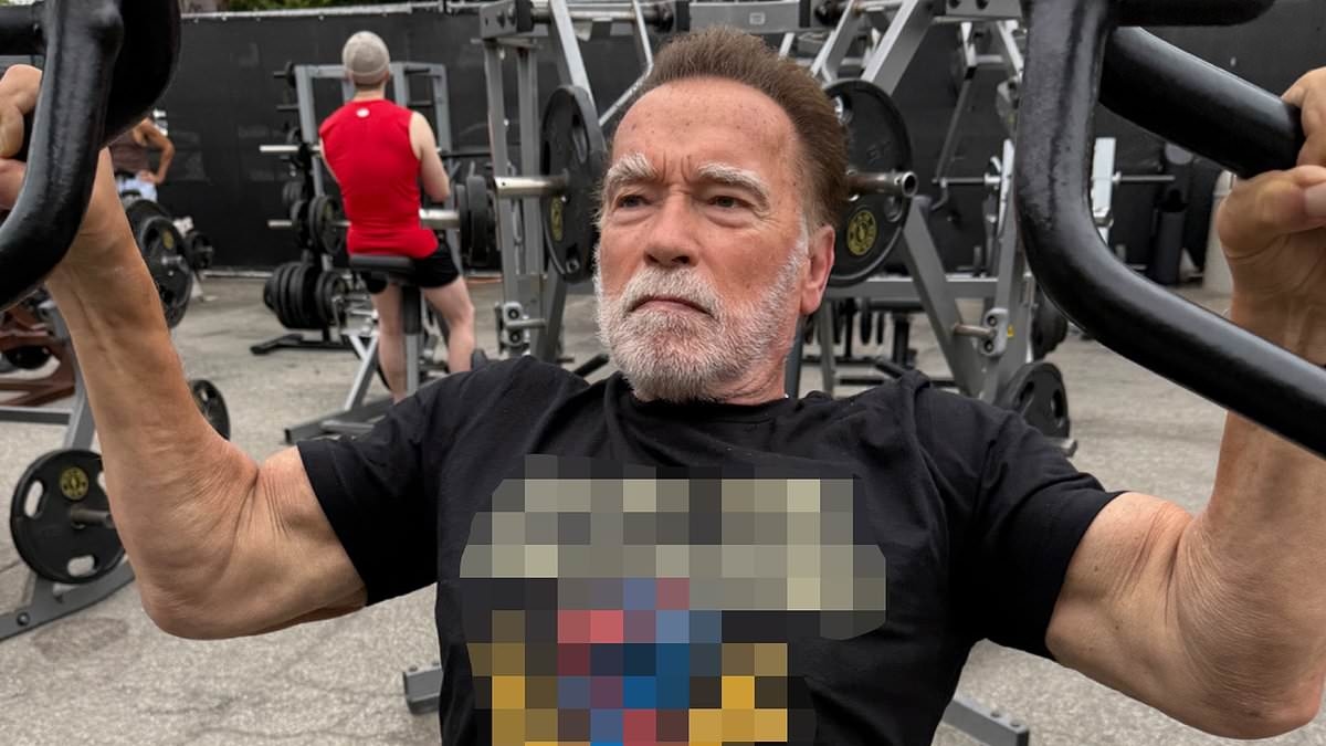 Arnold Schwarzenegger wears expletive-laden shirt to troll Gavin Newsom over his redistricting plans