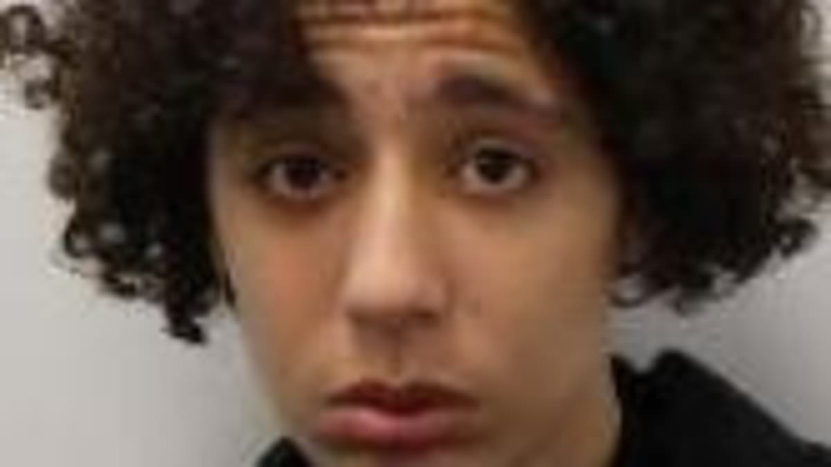 Fears grow for schoolboy, 16, missing from his Camden home for three weeks