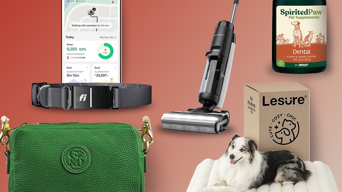 Celebrate National Dog Month with these must-have toys, treats, and accessories for your pup!