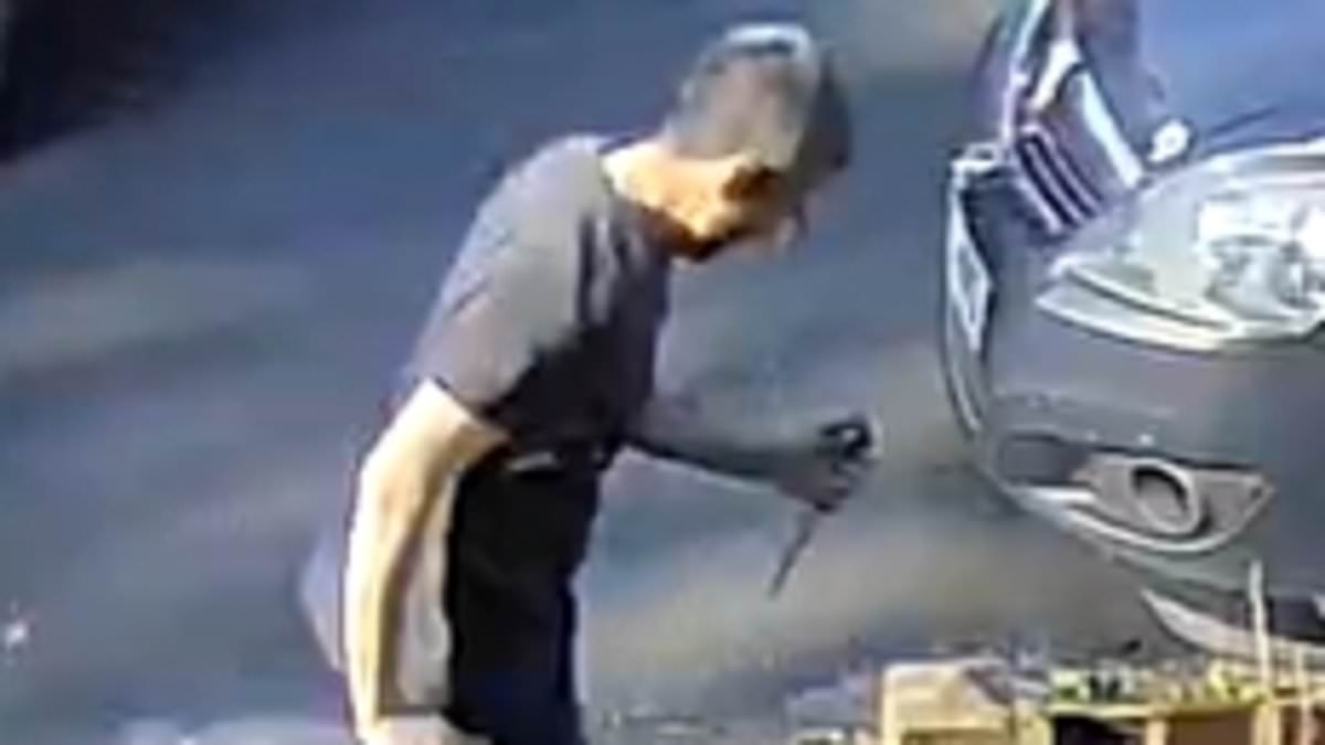 Face of 'knifeman' hunted over serious attack inside a house is released by detectives on his trail