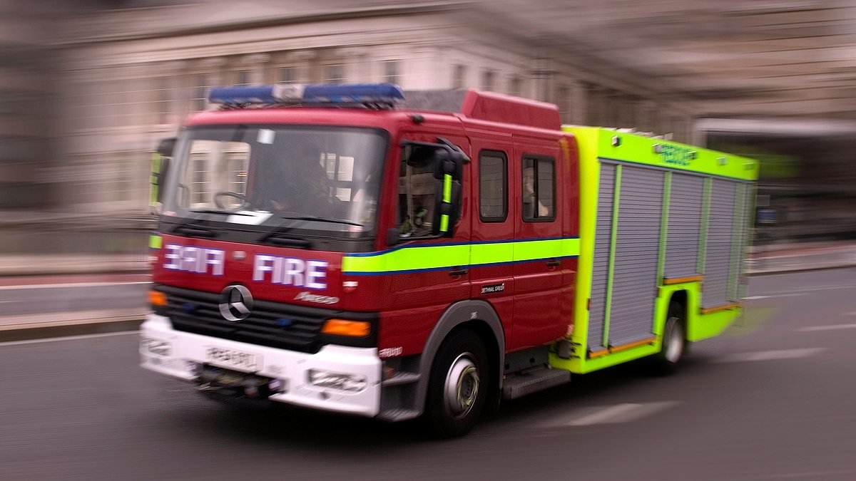 Firefighters called to over 40 obese people a week after it was revealed ambulance service had to spend £30million on specialist transport