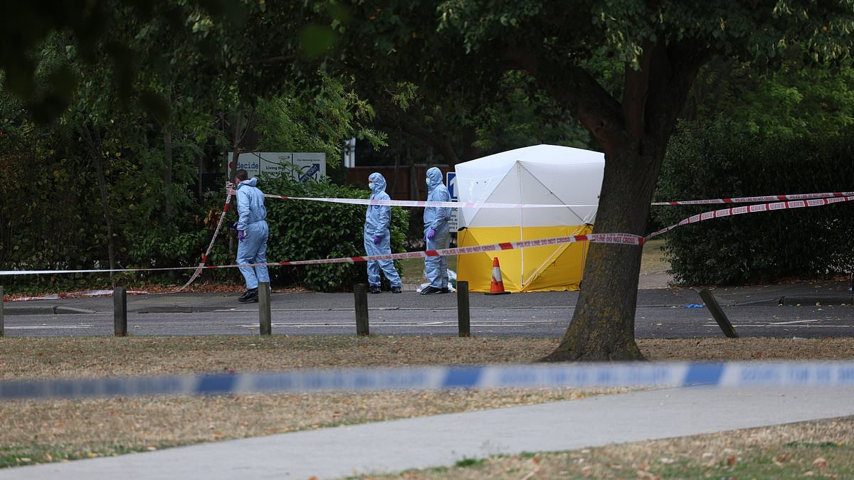 Murder hunt launched after woman in her 20s is found dead near care home