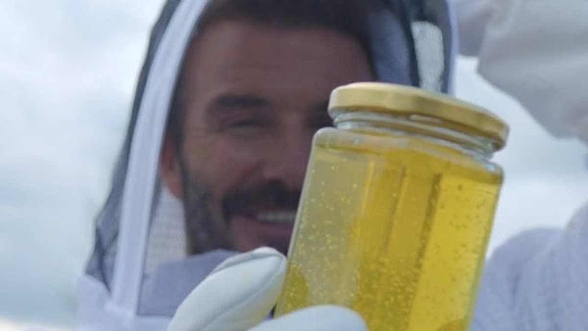 David Beckham takes his mind off family feud as he gushes over his love for beekeeping in sweet post to celebrate World Honey Bee Day