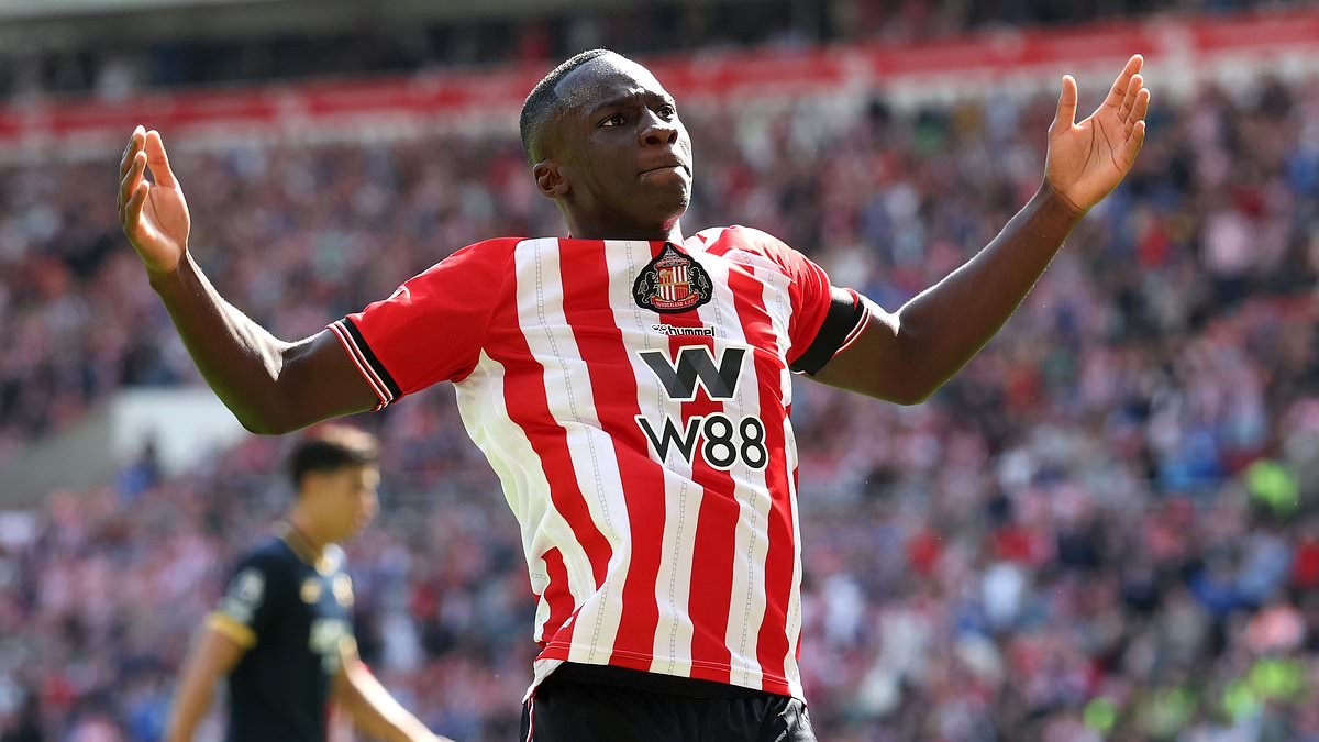 Sunderland 3-0 West Ham: A mixture of old and new signings blended perfectly to help the Black Cats ease to victory - and why record signing Habib Diarra was the stand-out performer