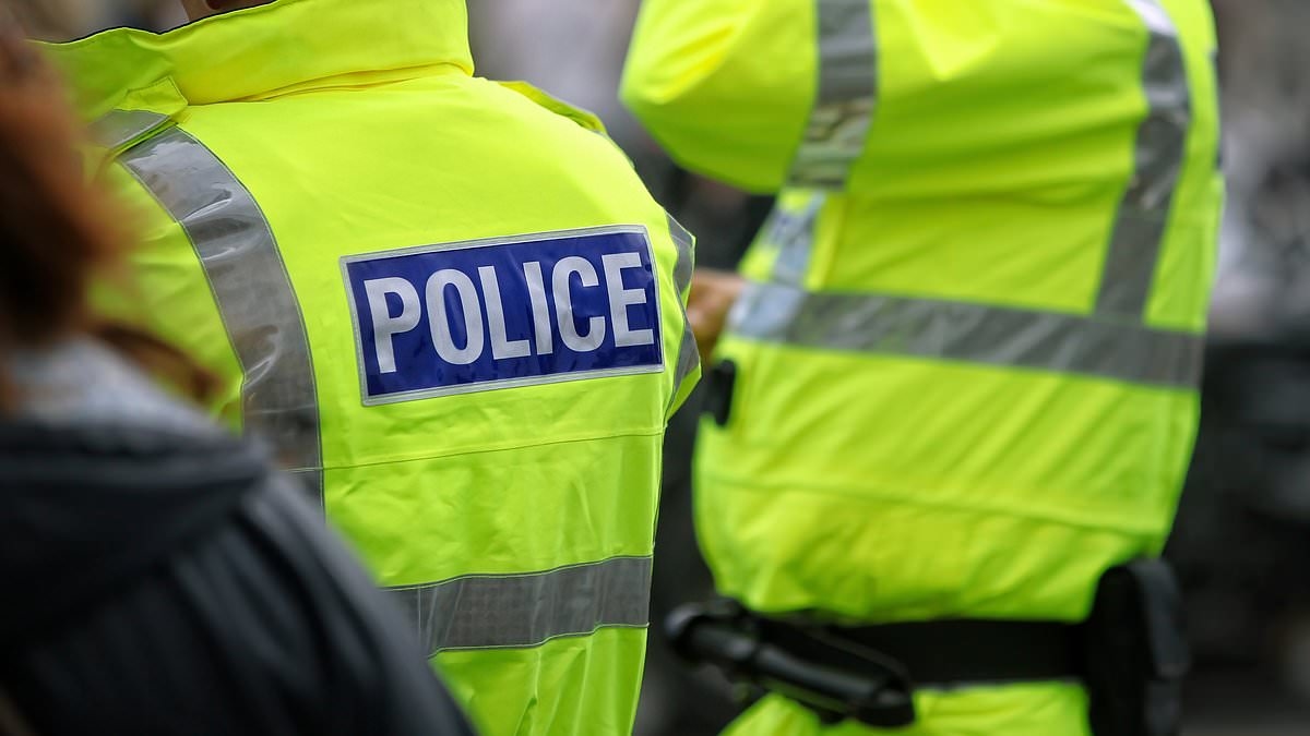 How dare the public be told to tackle criminals... when politicians have left them to roam with impunity: By retired policeman NORMAN BRENNAN