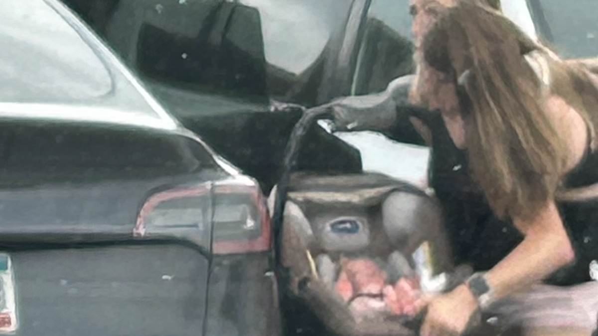 Conjoined Hensel twins spotted with newborn baby in tow months after news of Abby's 'secret' wedding broke
