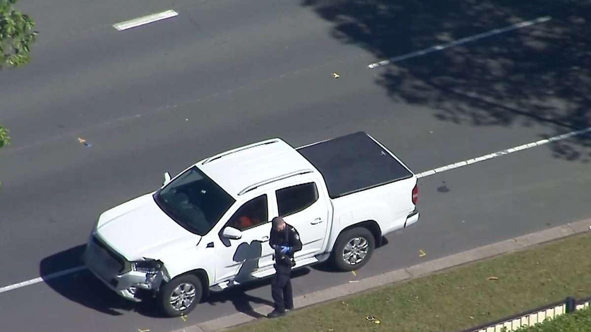 Tragedy father and four-year-old son hit and killed by ute