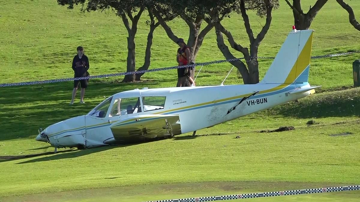 Heart-stopping moment plane crash lands at Mona Vale golf course in Sydney in front of horrified onlookers