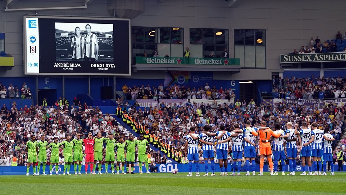 Brighton fan tragically dies after falling ill in the stands during Premier League match with Fulham