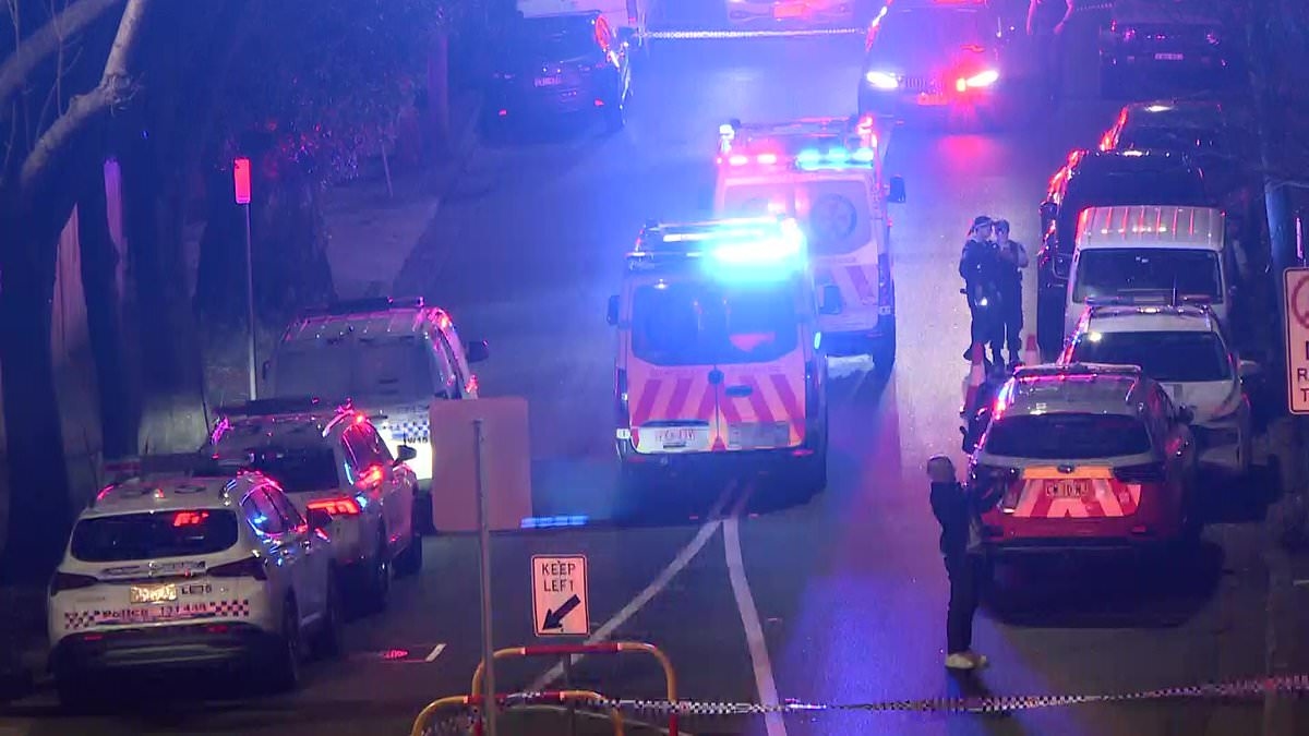 Pub shooting rocks Sydney's inner-west as one person is killed and another left fighting for life