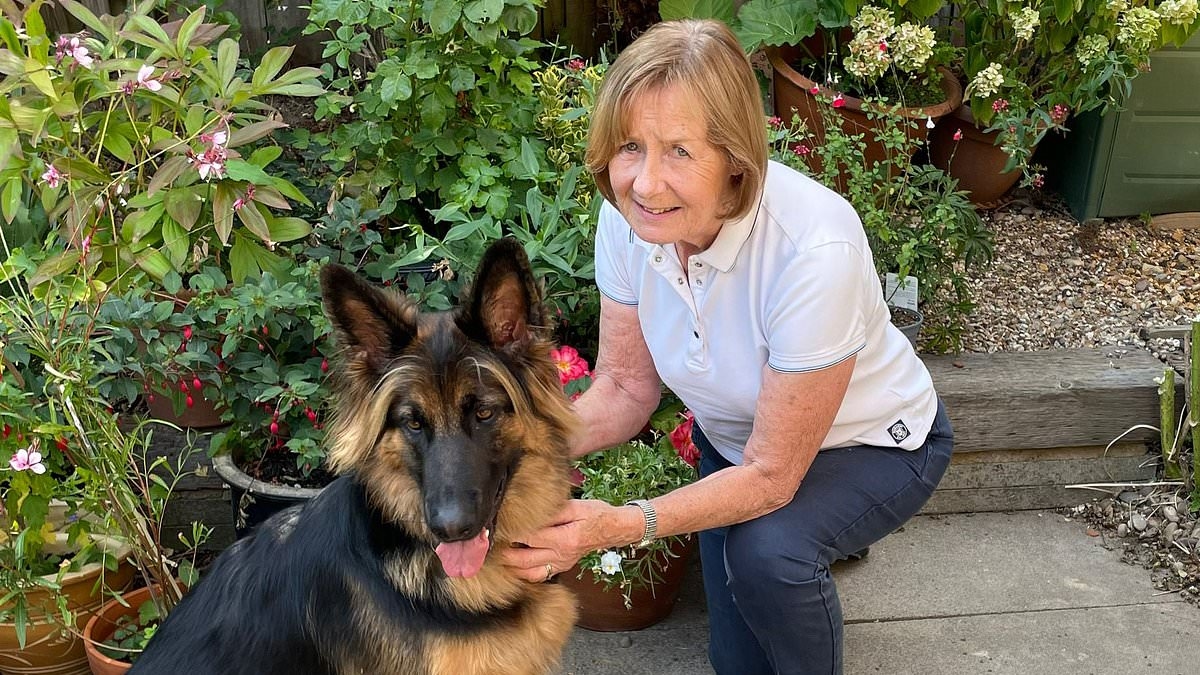 Christine was told she'd need a new knee... now she's pain free thanks to a £300 gadget first used on injured horses