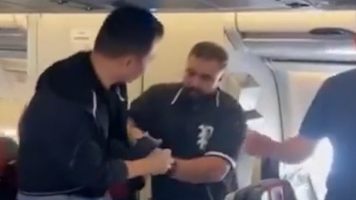 Moment passenger SLAPS 'thief' on flight after watching him 'steal bag from overhead cabin'