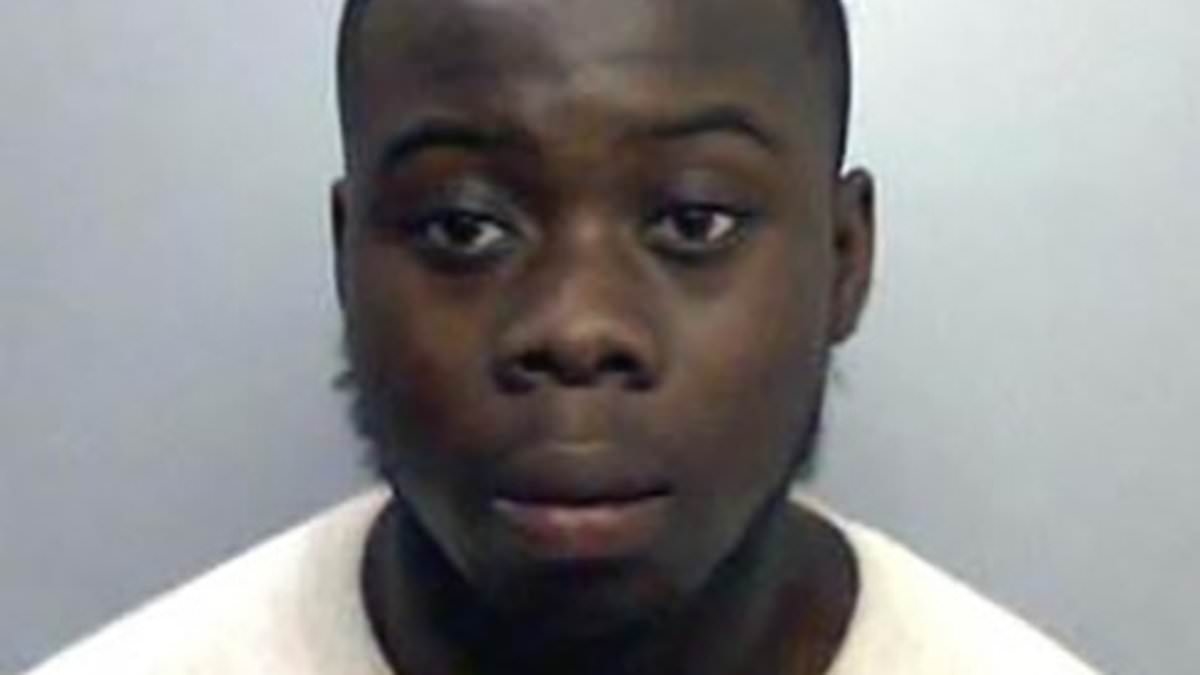 Judge who allowed knife-wielding drug dealer to stay in UK was on pro-asylum charity