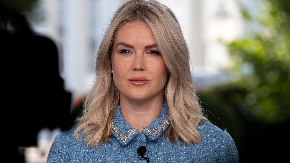 MSNBC host makes brazen jab at Karoline Leavitt's appearance during Putin summit