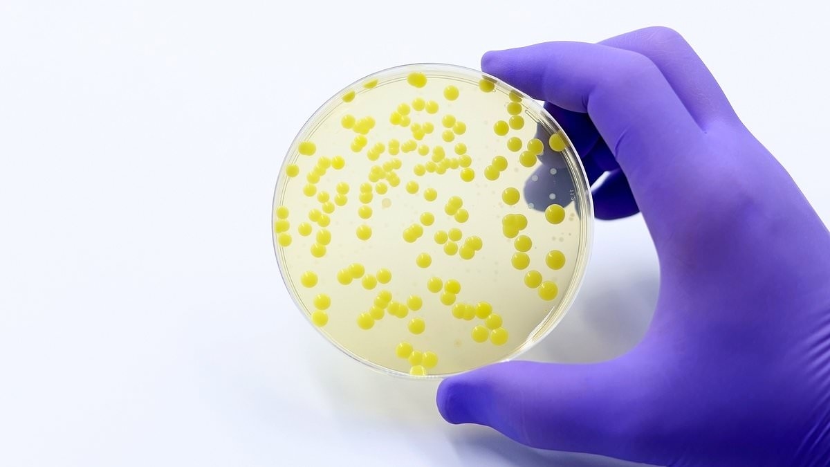 Brits warned against sharing towels and razors after spike in MRSA superbug infections outside of hospitals