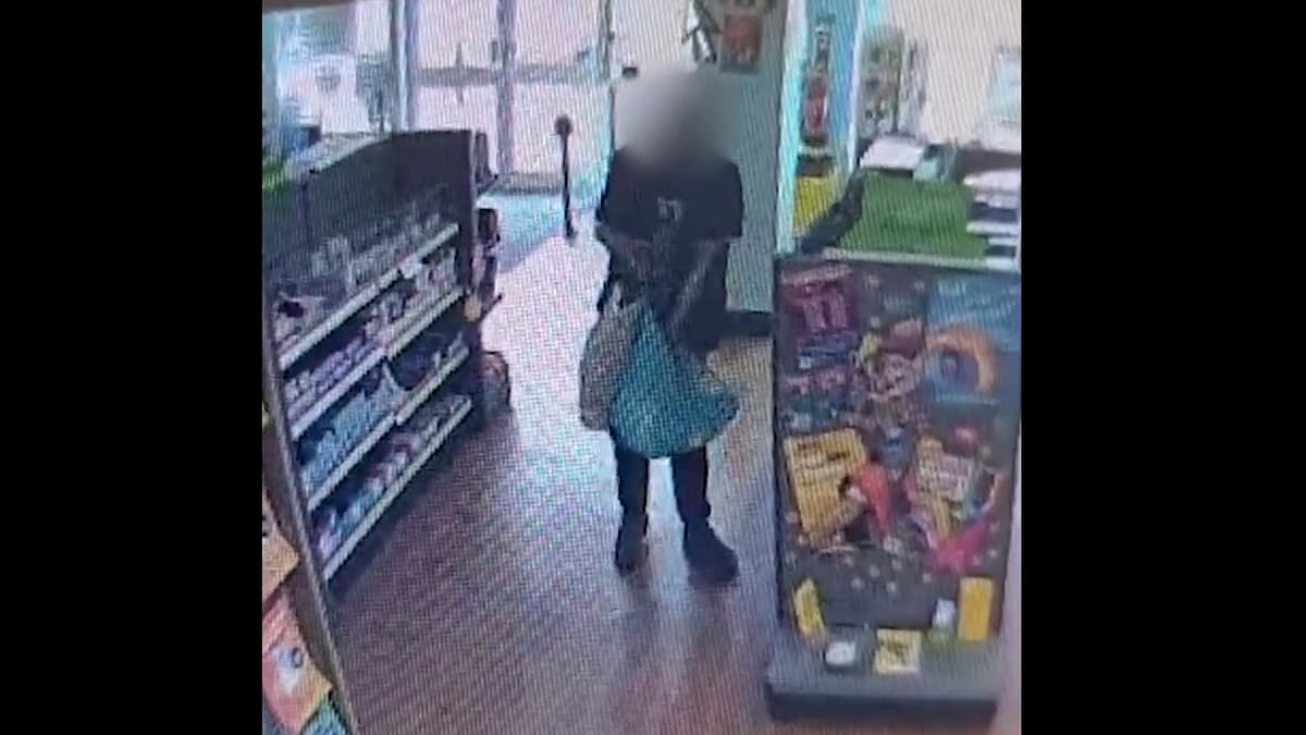 Police chiefs say shops should have 'greeters' to put off shoplifters, but hit out at lack of jail time for repeat offenders