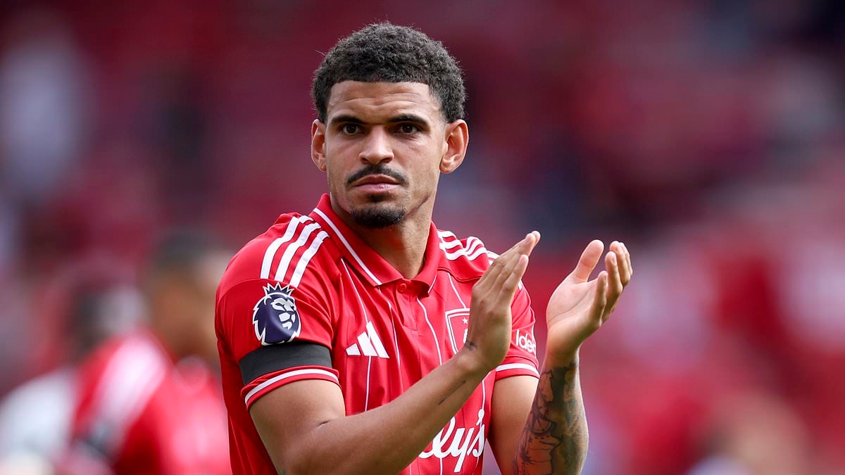 Evangelos Marinakis' best bit of summer business was clear in Nottingham Forest's 3-1 win over Brentford, writes TOM COLLMOSSE