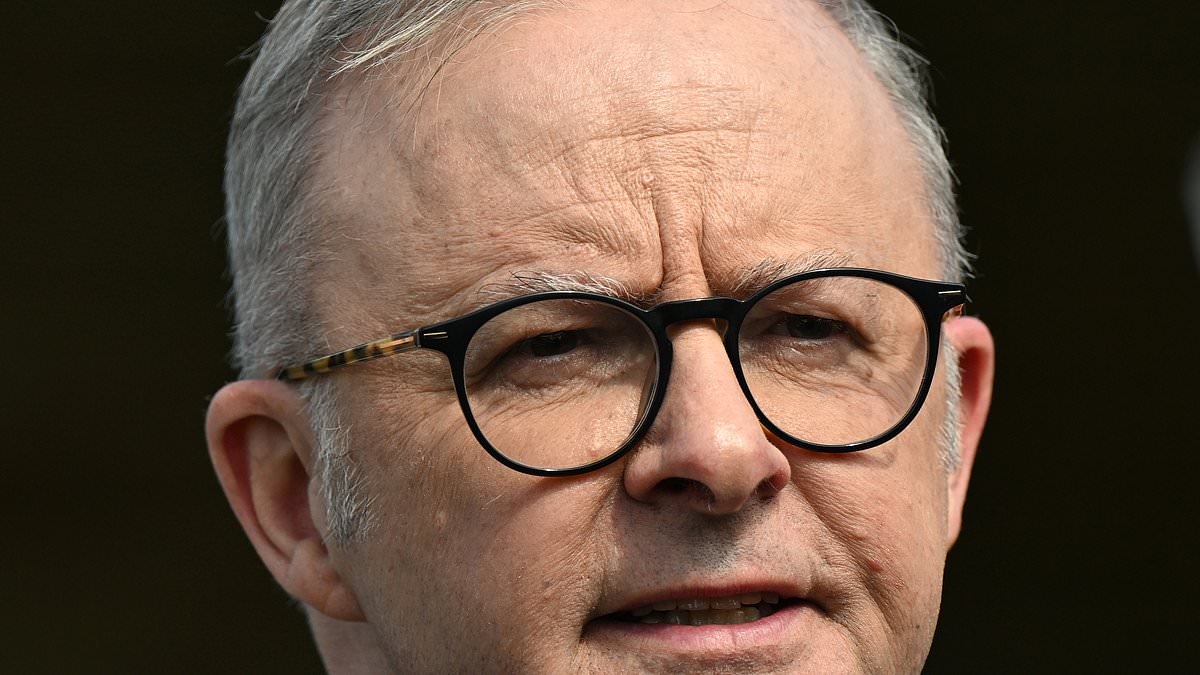 Shock new poll shows what Aussies really think about Anthony Albanese's performance