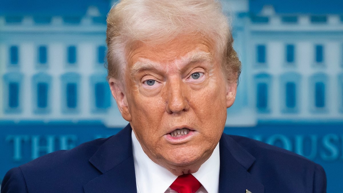 Trump tells Zelensky he can end Ukraine-Russia war 'immediately' as he lays out terms for peace with Putin ahead of White House summit