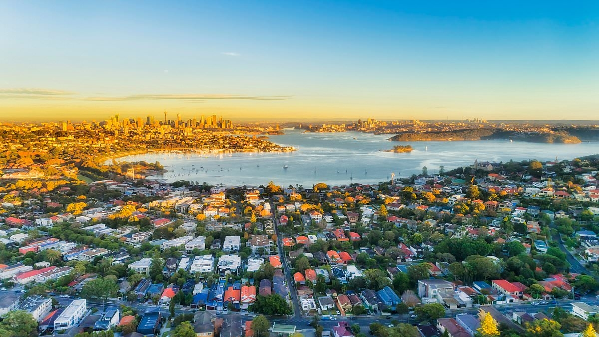 ABC host gives Albo's finance boss reality check on housing market