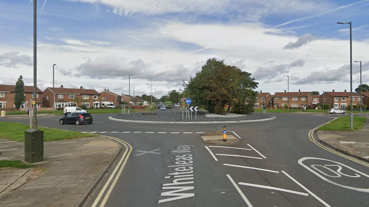 Man in his 70s is arrested after mobility scooter driver 'punched in the head'