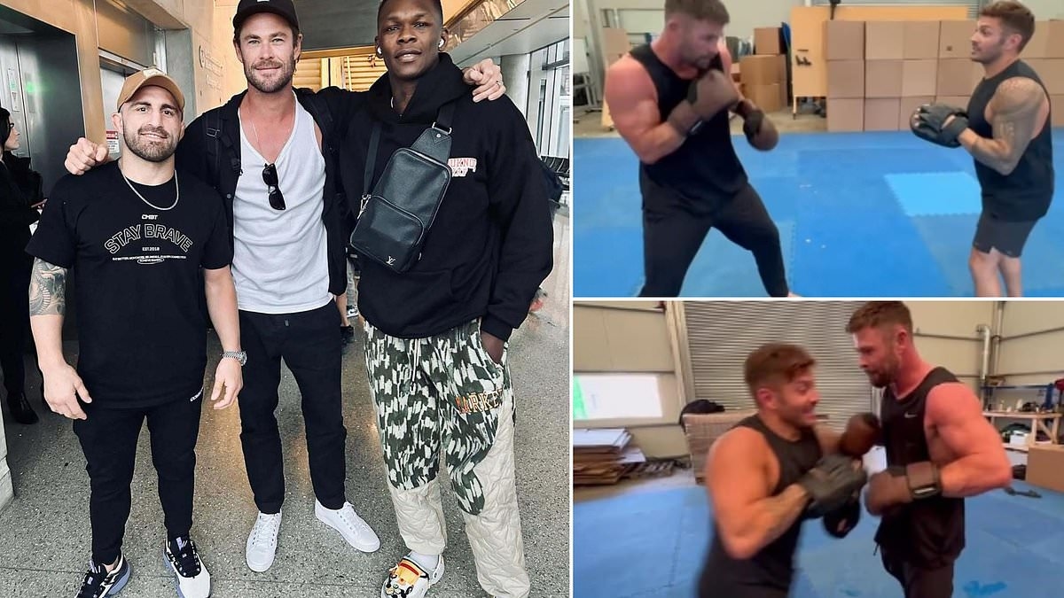 Can Chris Hemsworth actually fight or is he all looks and no talent? Aussie UFC legend watches the movie star box - and gives his verdict