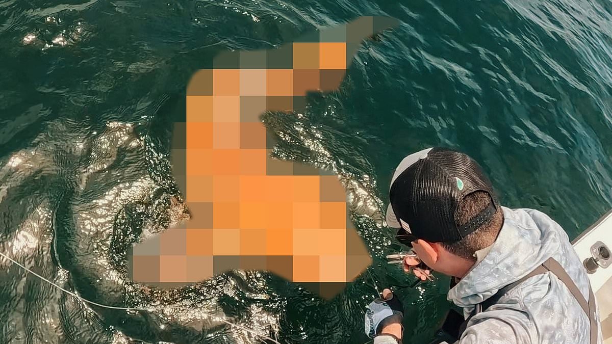 Orange shark with white eyes seen for 'first time ever' by anglers in Costa Rica