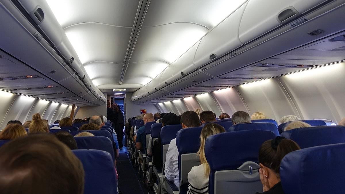 Major airline to face lawsuit over selling 'windowless' window seats
