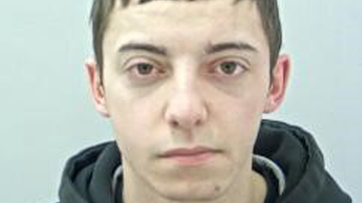 Drug-dealing e-biker, 20, jailed after killing beloved grandfather, 86, as he crossed the road for fish and chips