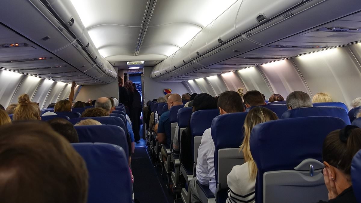 'Drunk' plane passenger 'VOMITS on a family and spits wine at them' on flight from Heathrow