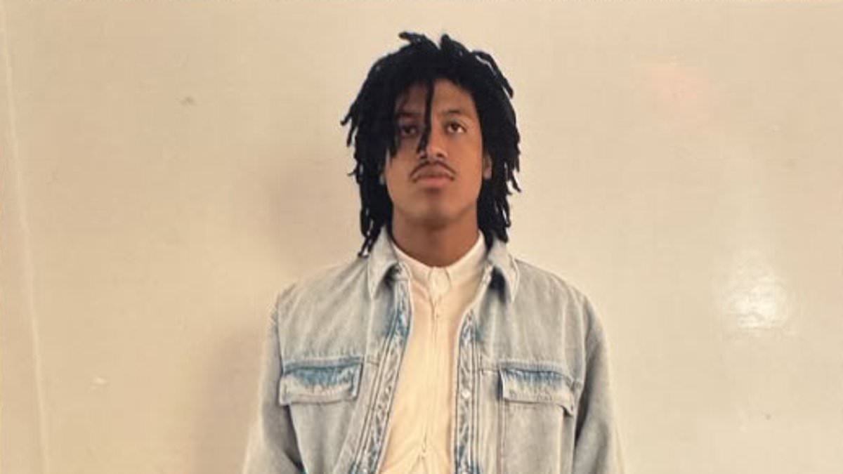 Nepo baby, 19, of famous model and R&B belter struts his stuff in NYC fashion show