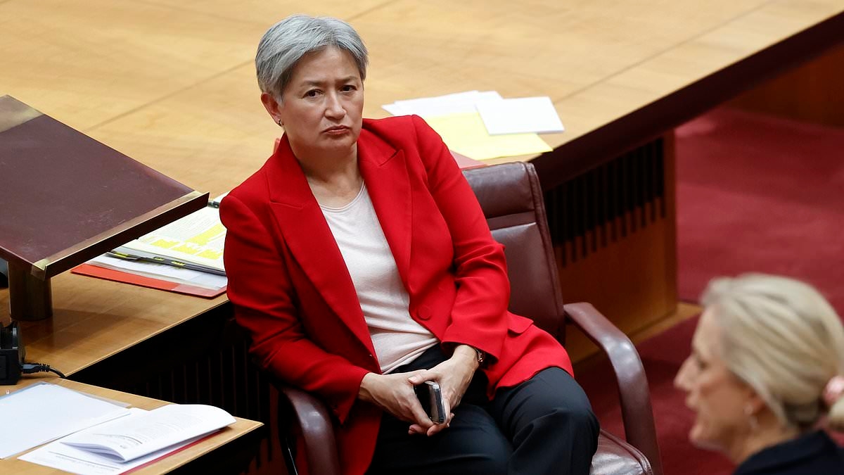 The gross hypocrisy of Penny Wong is finally exposed on the world stage. Pauline Hanson knows the truth all too well: PETER VAN ONSELEN